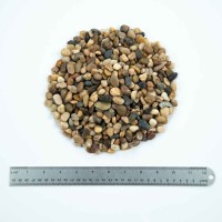 Mixed Polished 1-1.2 CM Beach Pebbles