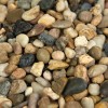 Mixed Polished 1-1.2 CM Beach Pebbles