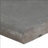 Mountain Bluestone 16X24 Flamed One Long Side Bullnose Pool Coping