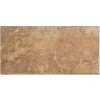 Tuscany Walnut 16X24X1.2 Honed Unfilled Bullnose Pool Coping